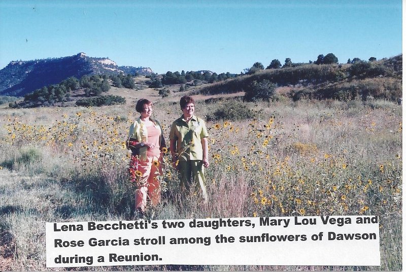 DAWSON-Lena Becchetti's Daughters in Dawson Sunflowers